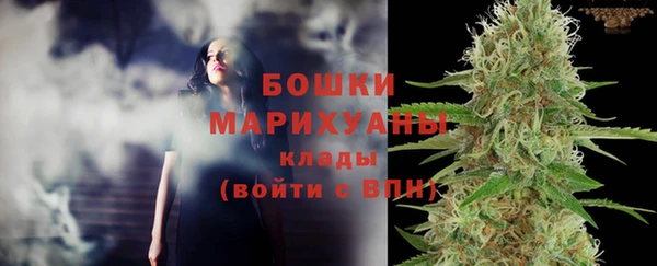 сатива Абаза