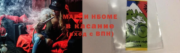 сатива Абаза