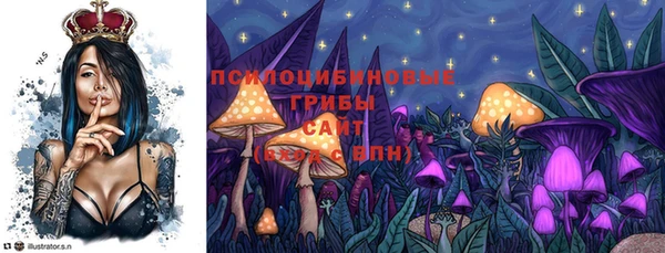 гидра Абдулино