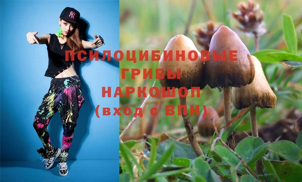 сатива Абаза