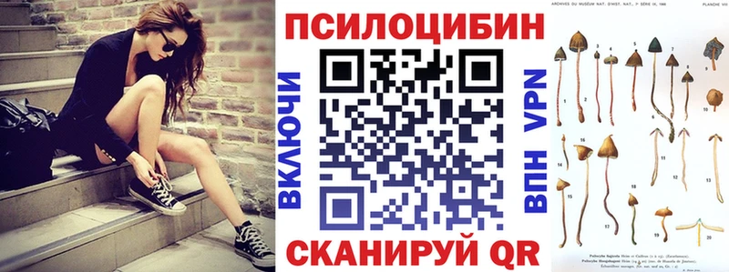 Галлюциногенные грибы Psilocybe  закладка  мега сайт  Углегорск 